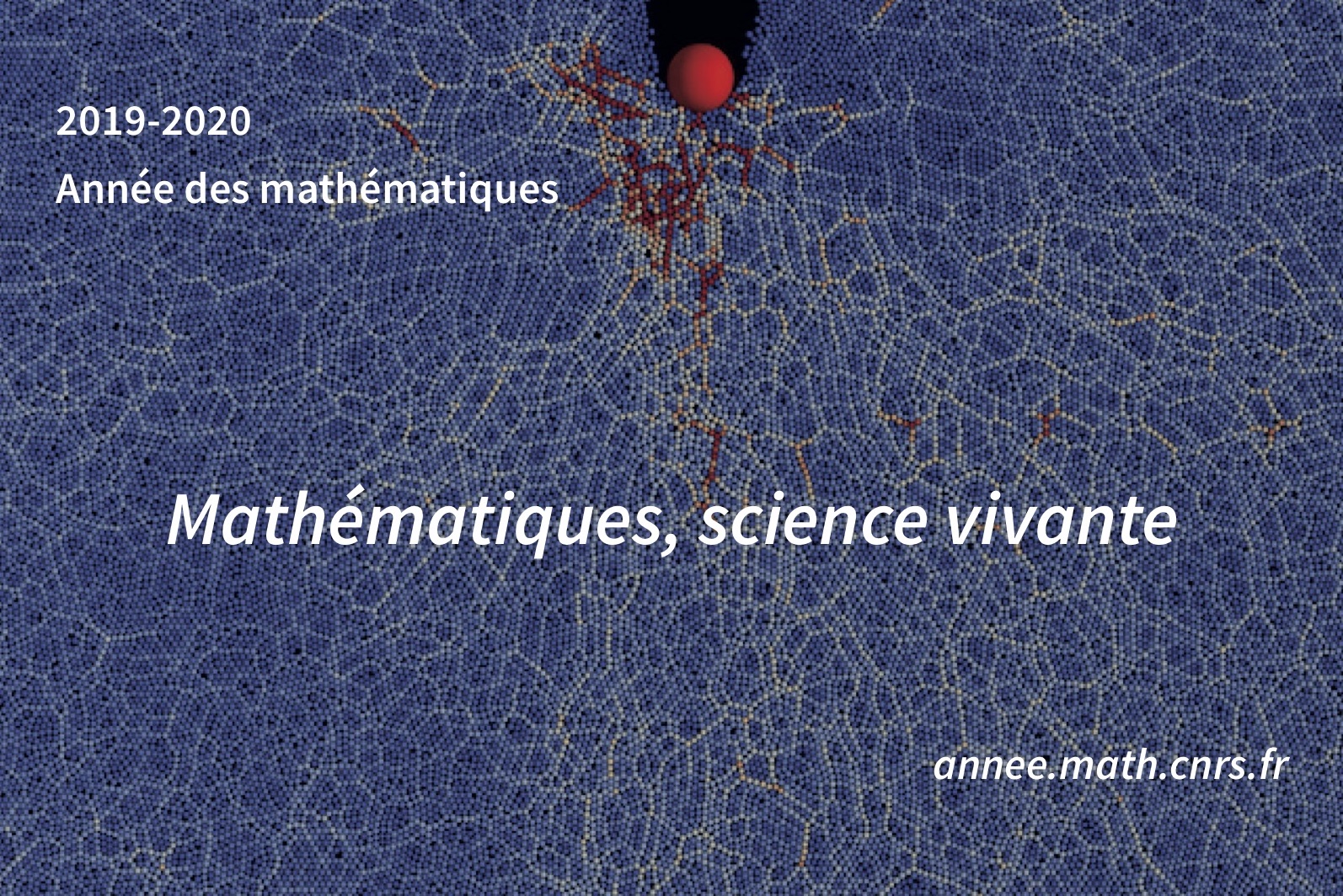 Visuel Année des maths