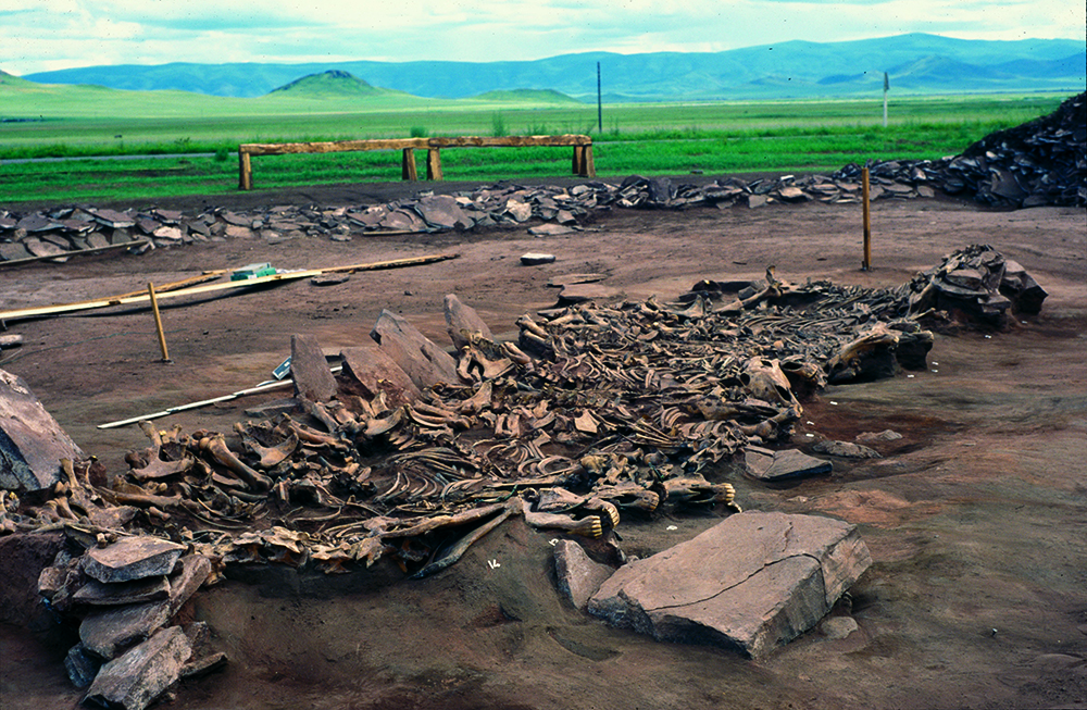 arzhan tuva horse burial