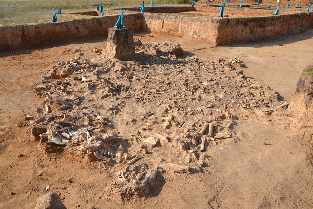 botai alanoutram excavastion