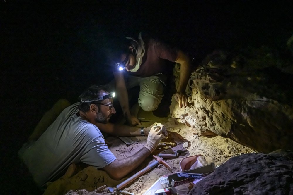 scientifiques travaillant sur le terrain, de nuit