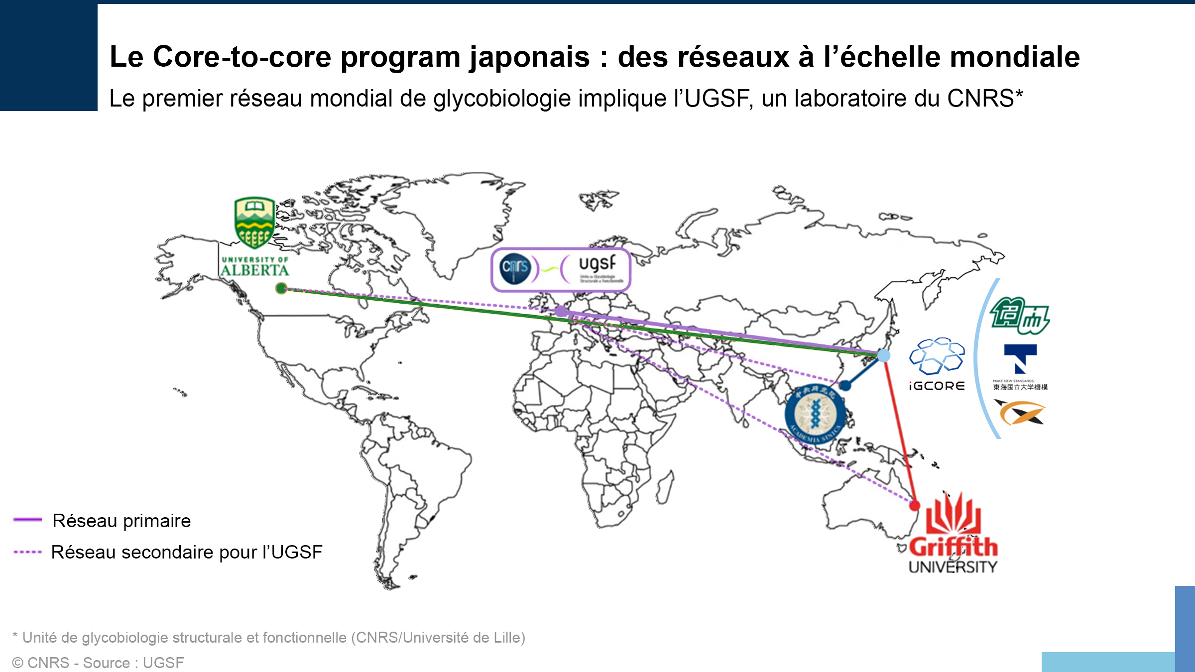 Visualisation sur une carte du réseau de glycobiologie