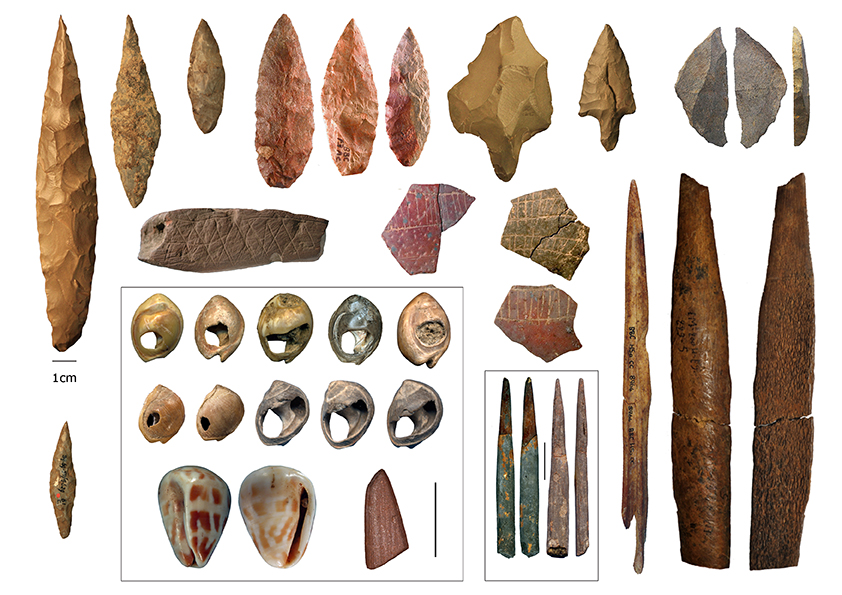 Pierres et coquillages taillés témoignant de l'évolution culturelle de différentes régions d'Afrique.