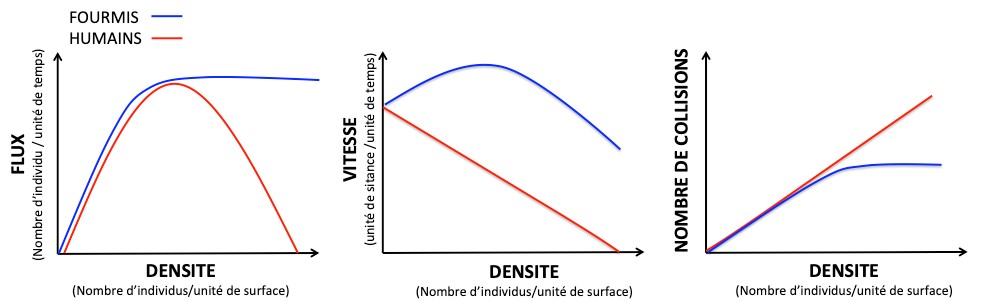 3 graphiques