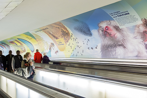 « Étonnant Vivant » : une nouvelle exposition à la station Montparnasse-Bienvenüe