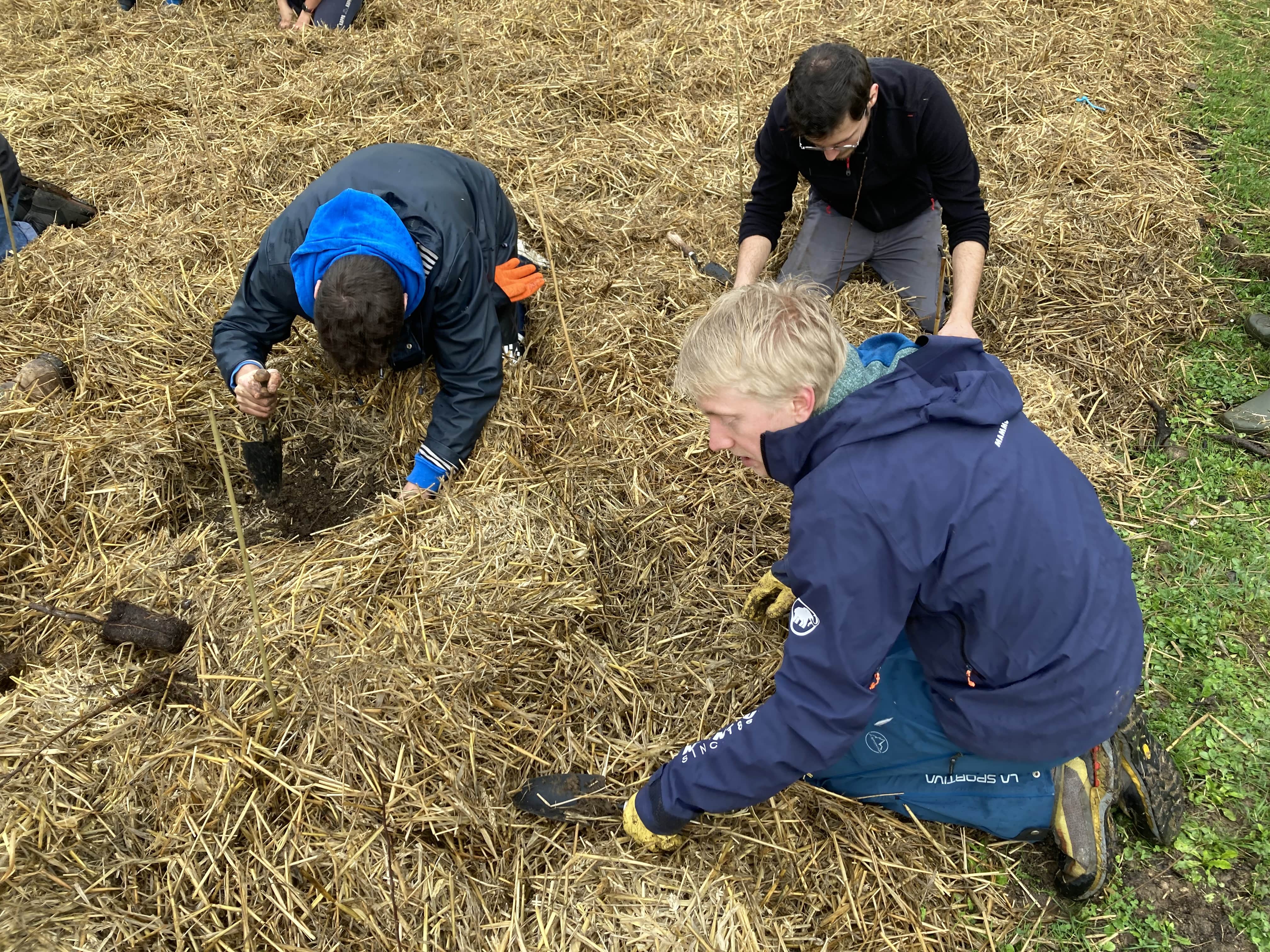 Plantation d'une mini-forêt au M2C