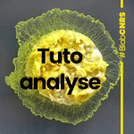 Tuto analyse