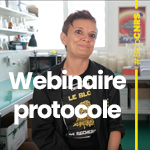 Le webinaire protocole