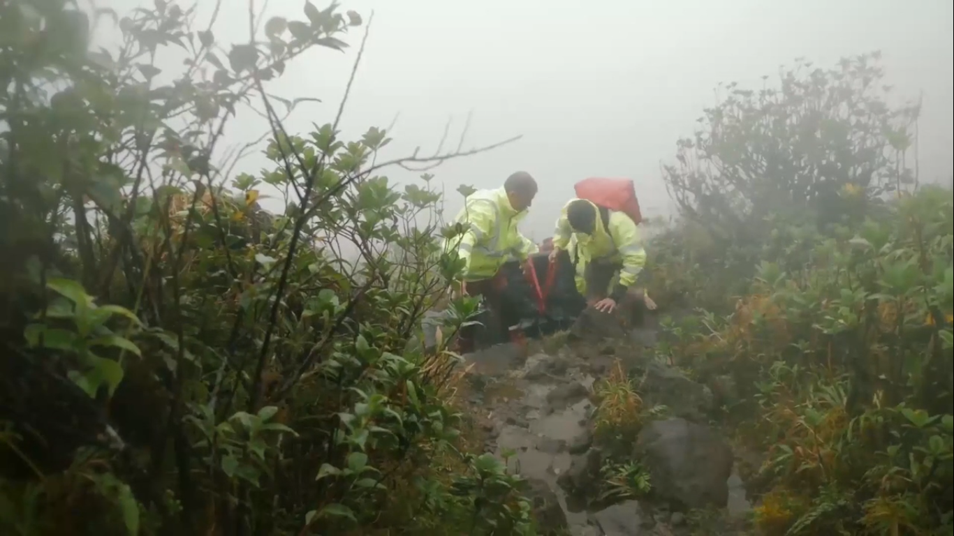 Deux hommes transportent du matériel scientifique en caisse au milieu de la jungle