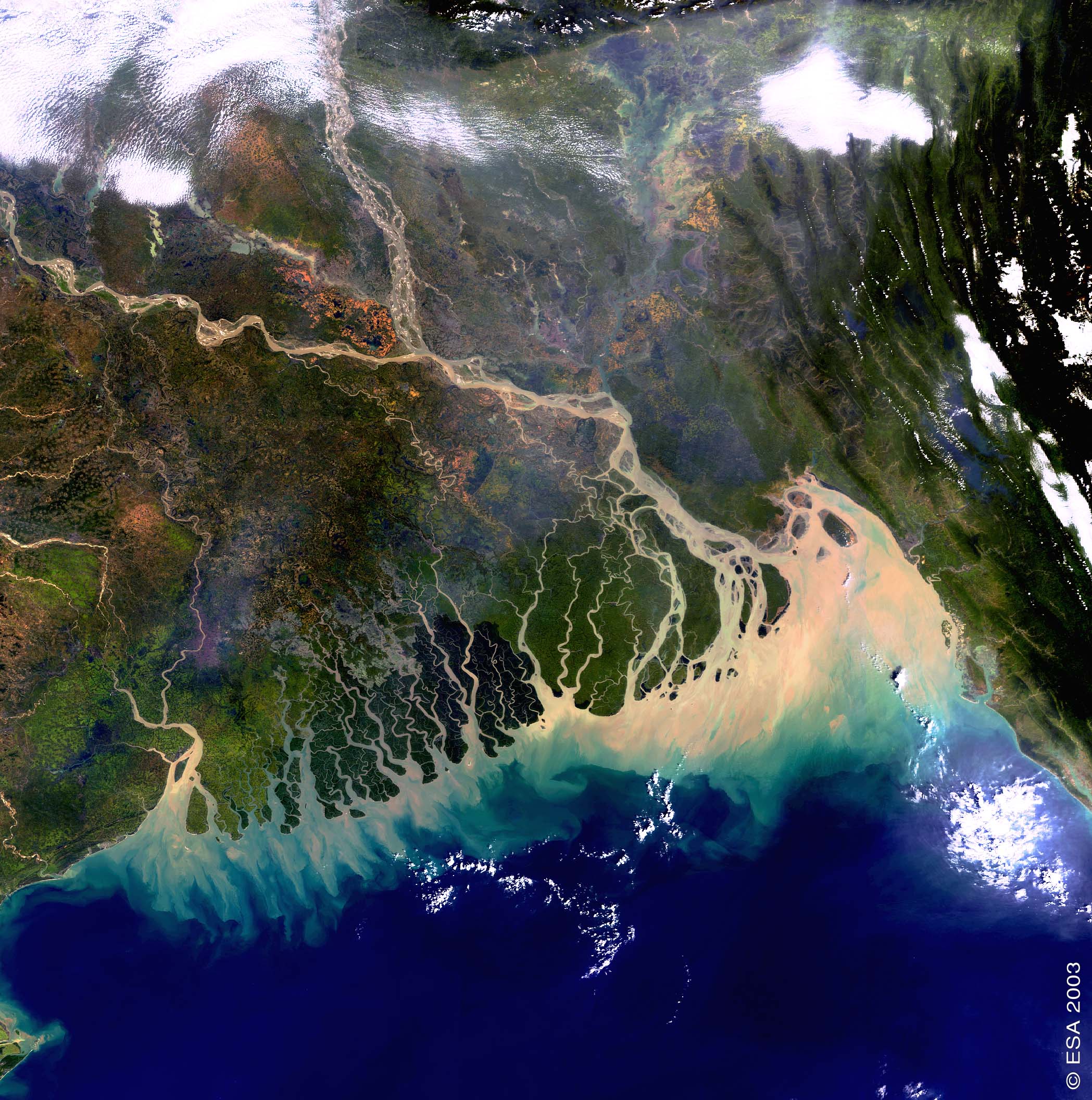 image satellite montrant la zone étudiée