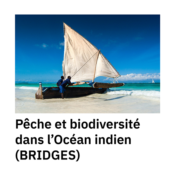 Pêche et biodiversité dans l'océan Indien (BRIDGES)