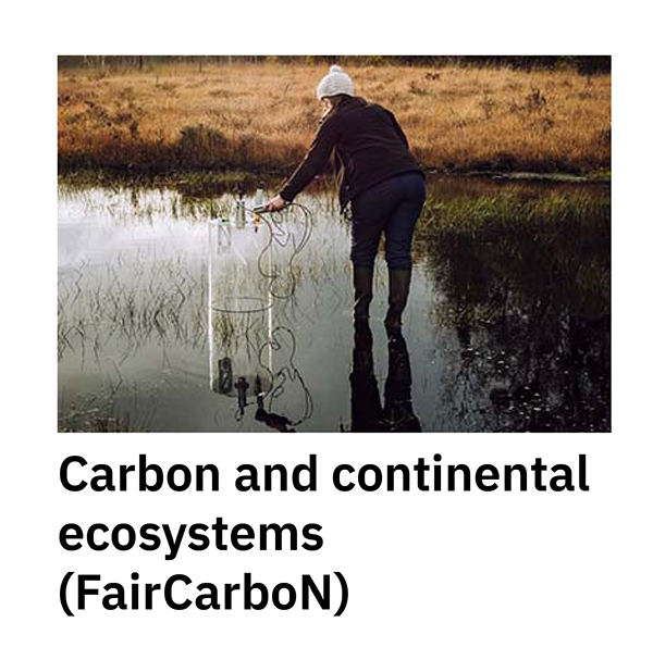 Carbon and continental ecosystems (FairCarboN)