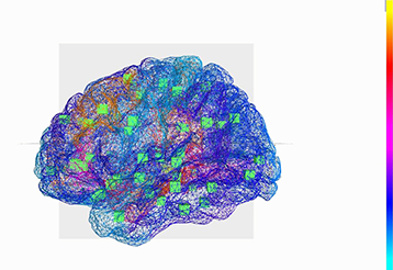 Le Cerveau Virtuel