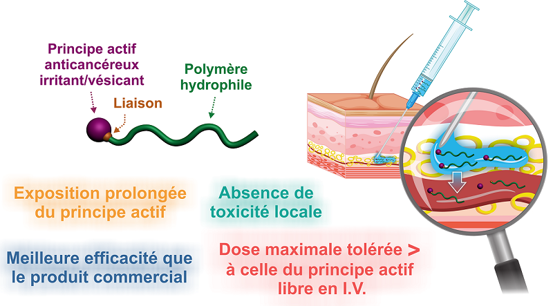 Représentation de l'administration sous-cutanée pour le traitement du cancer.