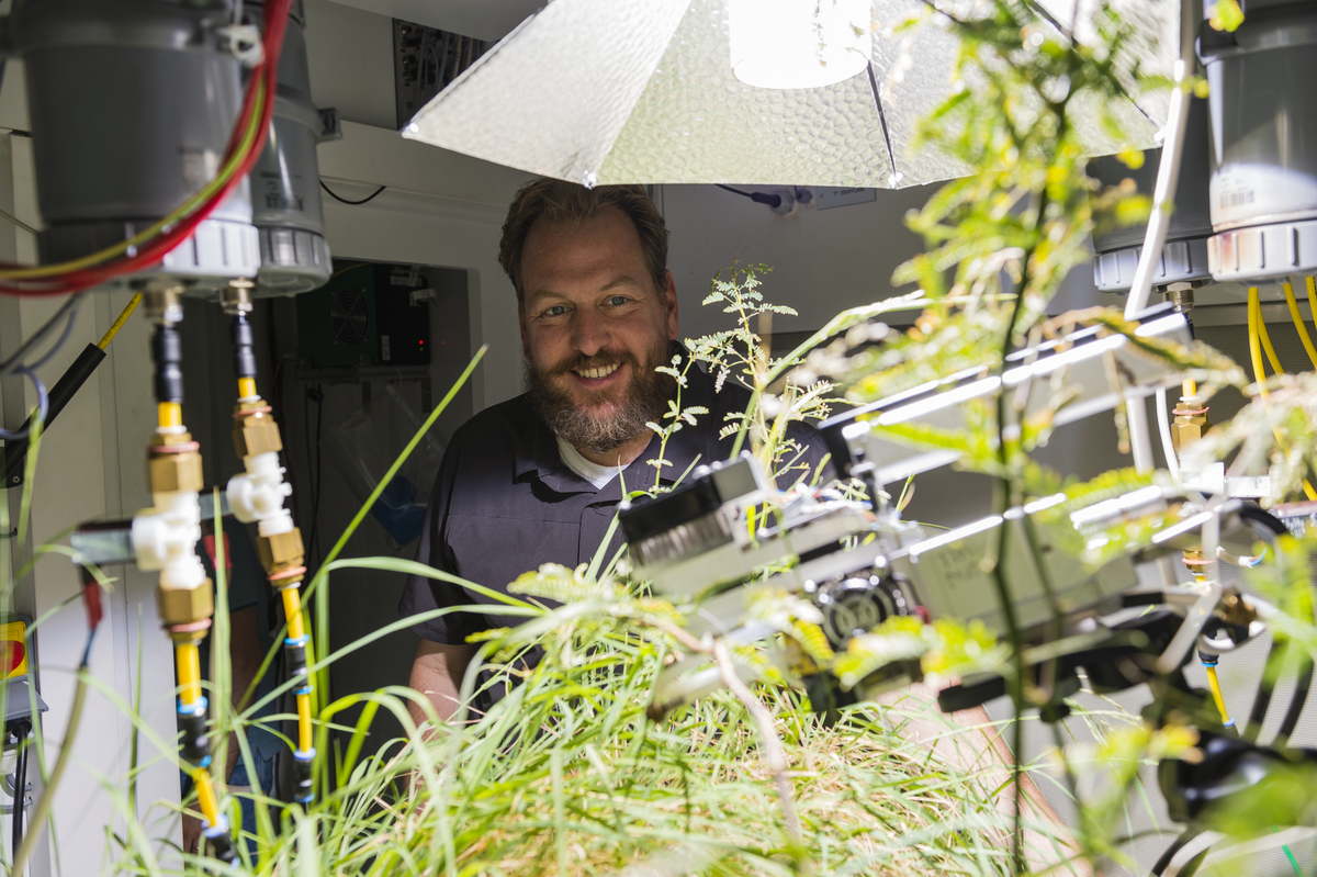 Simulateur environnemental dédié à l'expérimentation en écologie, cet Écolab permet d’étudier les effets du changement climatique sur des plantes, en variant les niveaux de sécheresse et de pluie. © Cyril FRESILLON / CEREEP / CNRS Photothèque