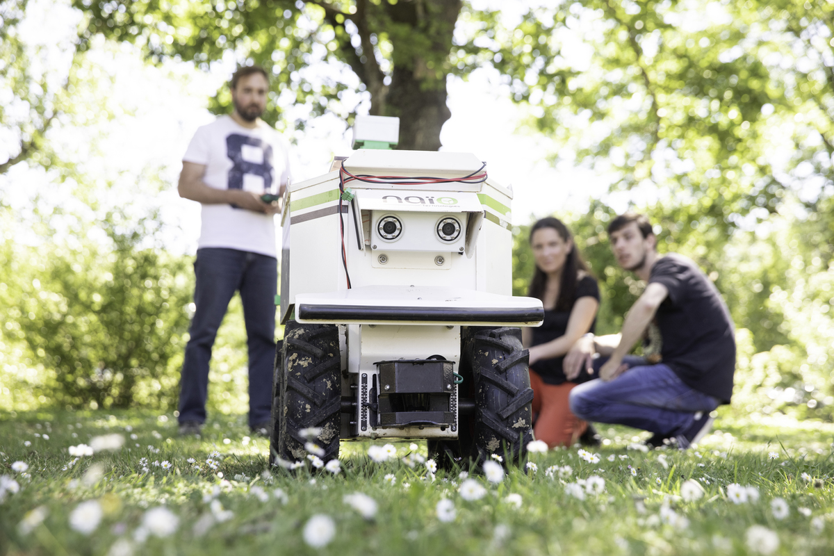 Petit robot dans un pré