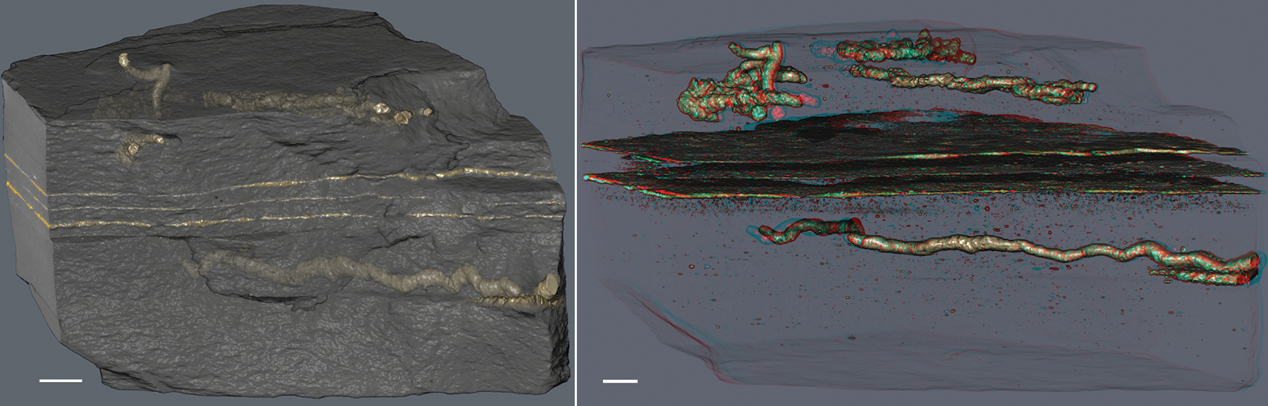 reconstruction 3D