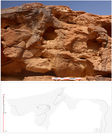 Relief rupestre représentant un dromadaire couché levant la tête vers un équidé, possiblement un âne ou une mule.