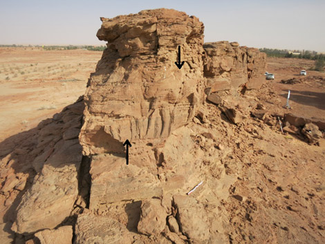 Sculpture (probably not completed) of two dromedaries in single file on Spur C at Camel Site.