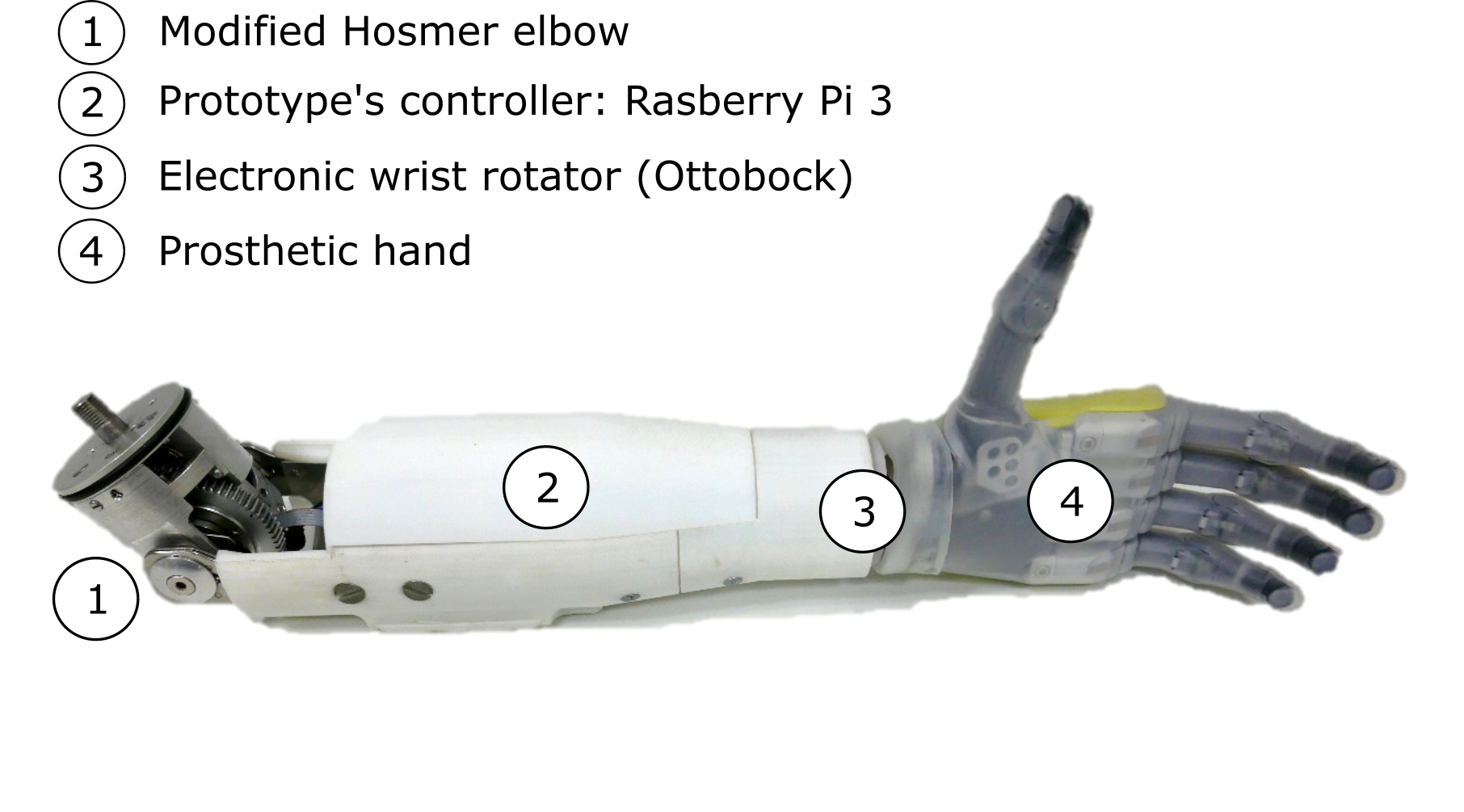 Descriptive of the prosthesis