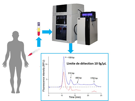 BIABOOSTER : un dispositif plus sensible pour caractériser l'ADN en circulation dans le sang