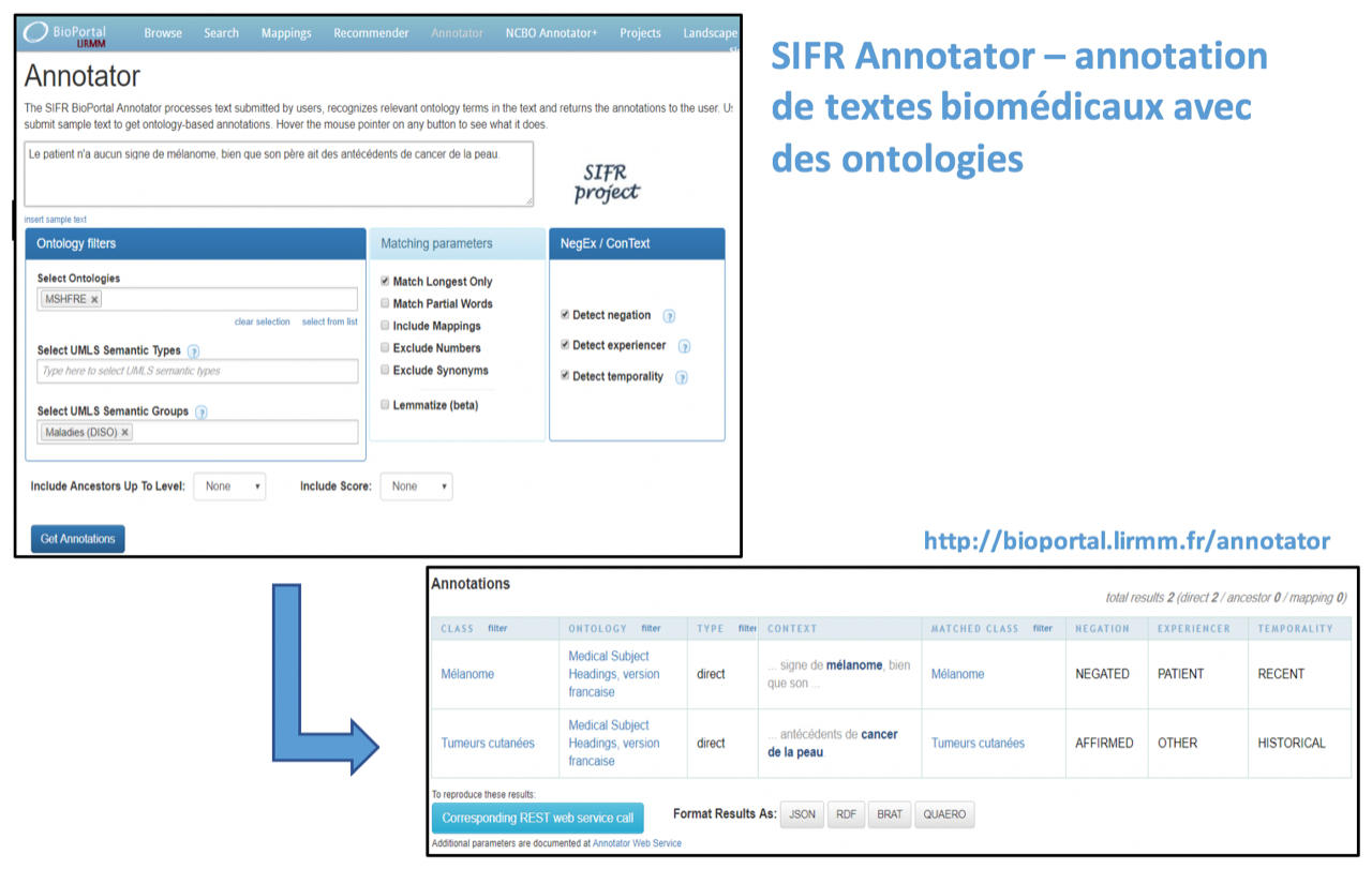 Capture d'écran de l'annotateur de publications développé par le LIRMM-Stanford