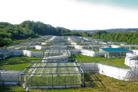 Le Metatron, un système expérimental pour étudier le réchauffement climatique (Moulis 09).