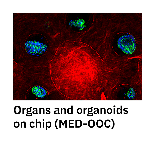 Organs and organoids on chip (MED-OOC)