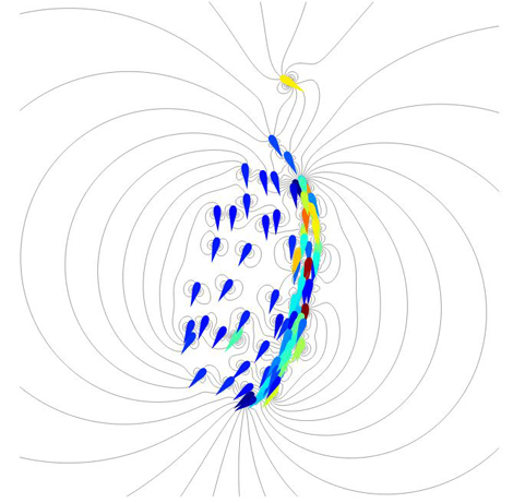 Simulation d'un banc de 100 poissons