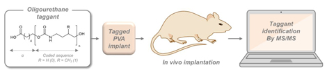 A molecular label : traceability for medical implants