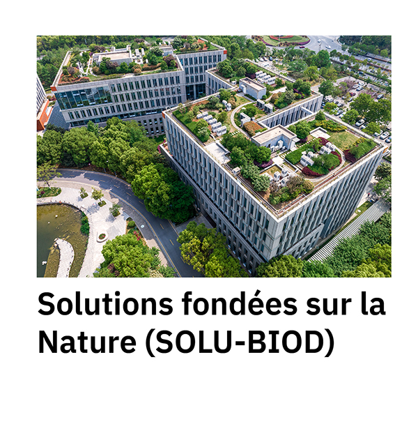 Solutions fondées sur la Nature (SOLU-BIOD)