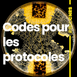 vignette code protocoles