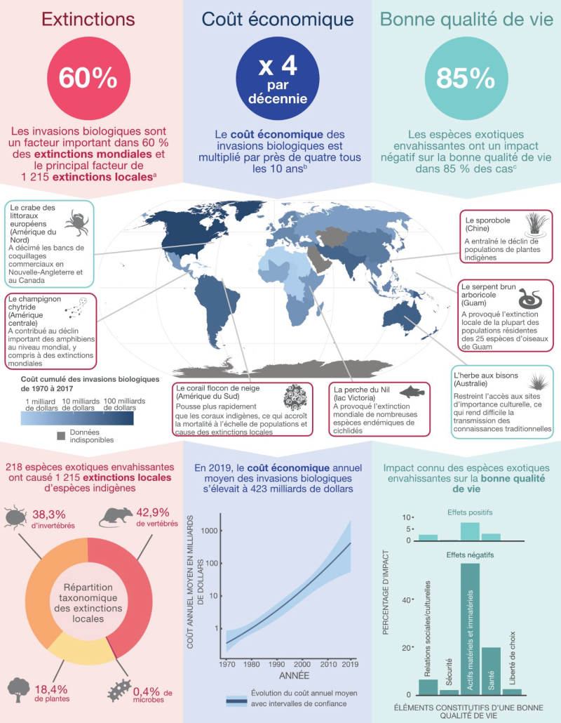 Ampleur des problèmes causés par les invasions biologiques