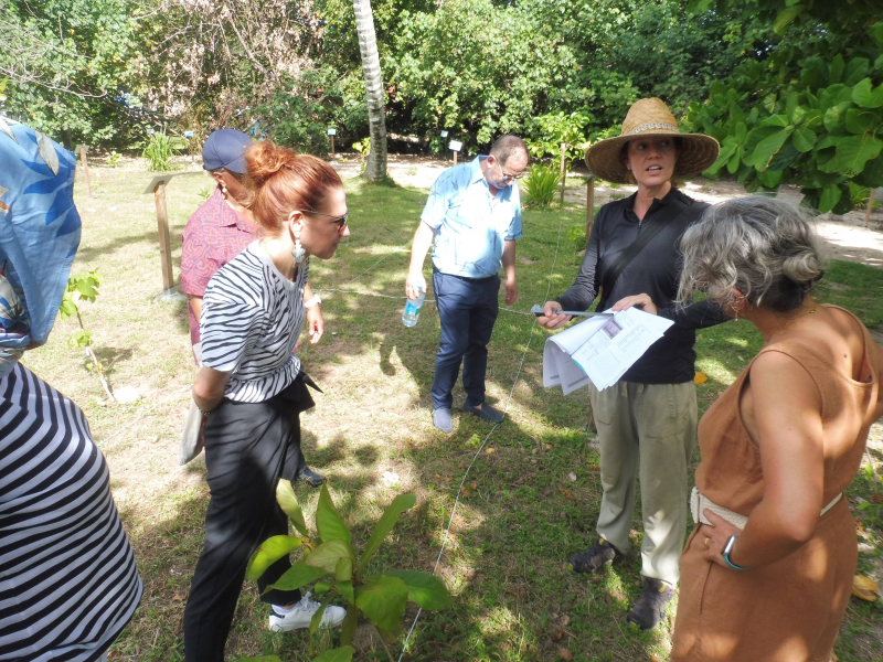 Visite du Criobe et de l’écomusée Te Fare Natura avec Laetitia Hédouin