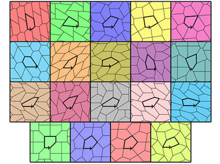 There are only 15 possible pentagonal tiles