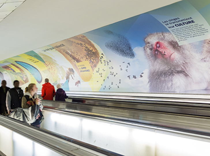 L'exposition "Étonnant Vivant", dans le couloir de correspondance de Montparnasse-Bienvenüe.