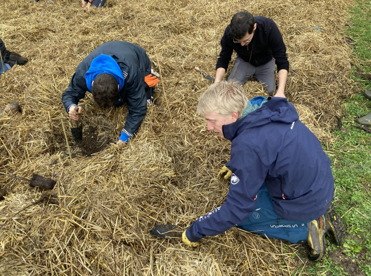 Plantation d'une mini-forêt au laboratoire M2C, à Caen