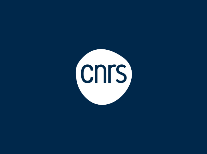 Logo CNRS