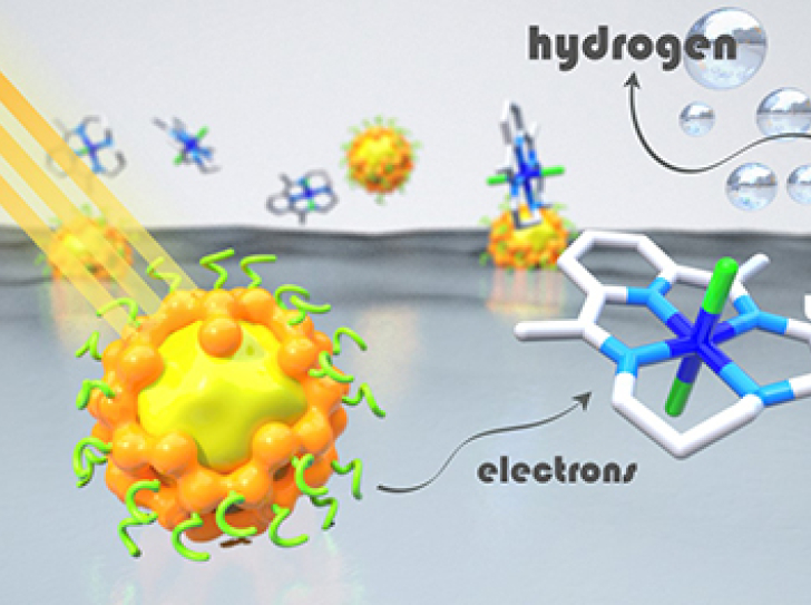 Cheaper, less toxic and recyclable light absorbers for hydrogen production