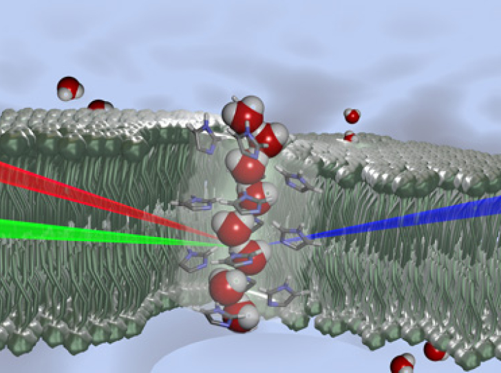 Artificial bio-inspired membranes for water filtration