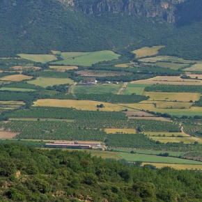 Mosaïque de cultures complexe avec de petites parcelles et des cultures diversifiées