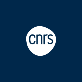 Logo CNRS