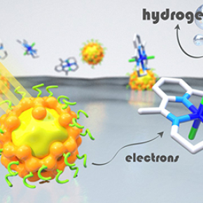 Cheaper, less toxic and recyclable light absorbers for hydrogen production