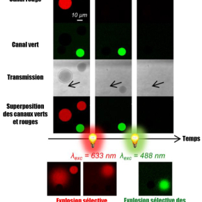 Light-induced vesicle explosions to mimic cellular reactions