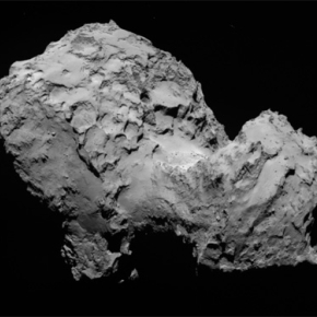 Does the organic material of comets predate our Solar System ?